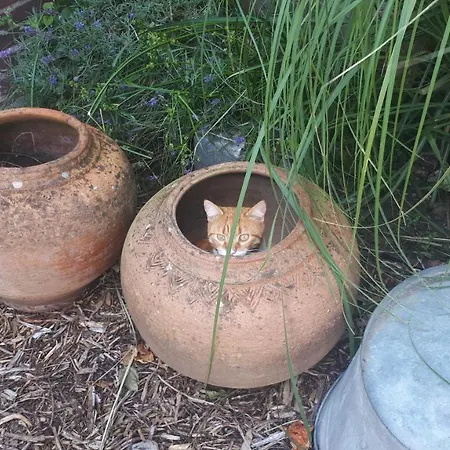 House Akerdijk 5 Persons 3 Bedrooms * Badhoevedorp