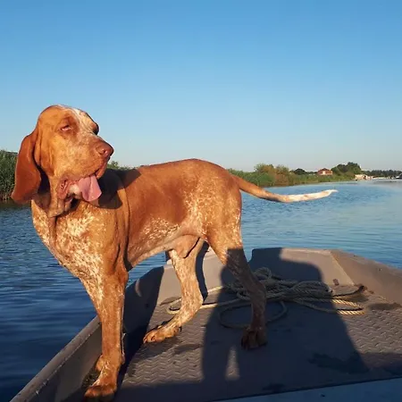 House Akerdijk 5 Persons 3 Bedrooms * Badhoevedorp